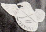 Gezocht ijshockey embleem en speldje ijsvogels Amsterdam, Ophalen of Verzenden, Gebruikt