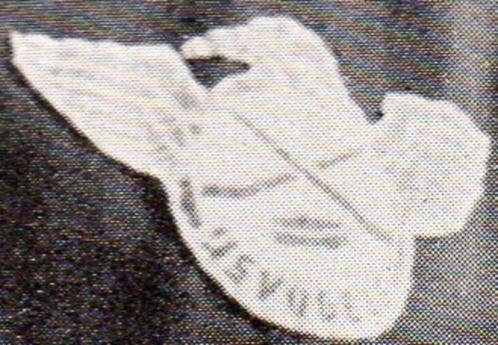 Gezocht ijshockey embleem en speldje ijsvogels Amsterdam, Sport en Fitness, IJshockey, Gebruikt, Ophalen of Verzenden