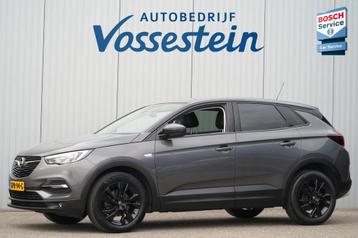 Opel GRANDLAND X 1.2 Turbo Elegance / Cruise / Stoelverw. V+ beschikbaar voor biedingen