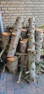 Dennenhout, Tuin en Terras, Haardhout, Minder dan 3 m³, Ophalen, Overige houtsoorten, Stammen