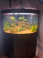 Juwel trigon, Dieren en Toebehoren, Ophalen of Verzenden, Gebruikt, Gevuld zoetwateraquarium