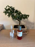 Maison Crivelli Hibiscus Mahajad parfum sample/decant, Ophalen, Zo goed als nieuw