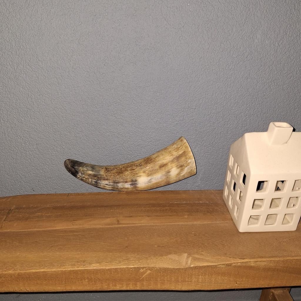 Mooie hoorn, Ophalen of Verzenden, Zo goed als nieuw