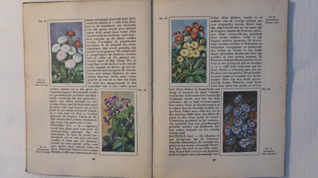 Plaatjesalbums, Ophalen of Verzenden, Gelezen, Diverse auteurs, Plaatjesalbum