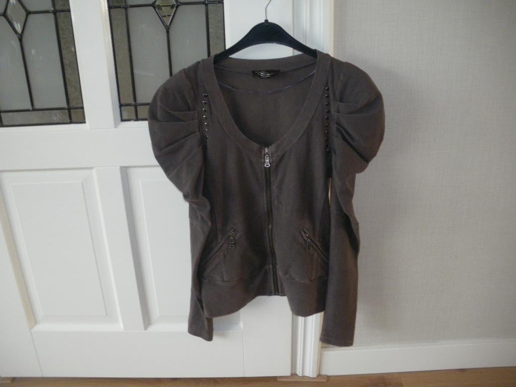 leuk grijs vest met pofmouw siersteentjes anna scott 38/40, Kleding | Dames, Blouses en Tunieken, Ophalen of Verzenden, Zo goed als nieuw