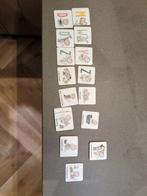 Magneetjes voor planbord, Ophalen of Verzenden