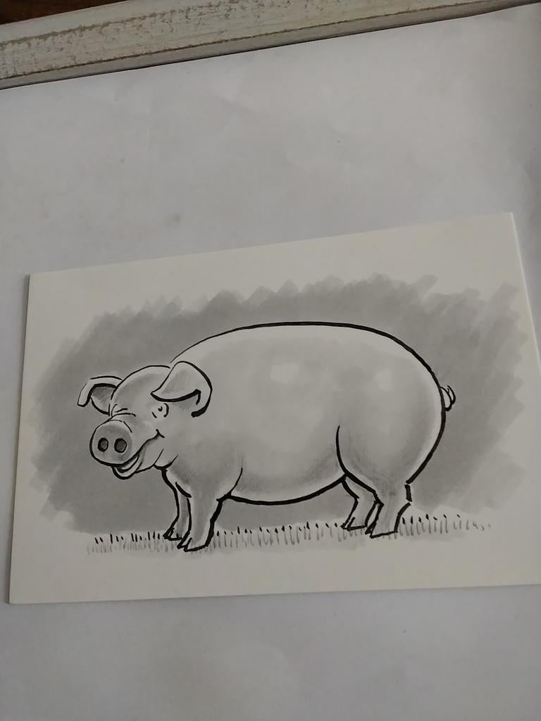 VARKEN, Ophalen of Verzenden, Voor 1920