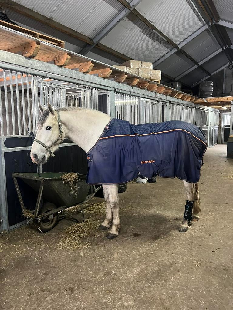 Bucas therapie 6,0, Dieren en Toebehoren, Paarden en Pony's | Dekens en Dekjes, Ophalen of Verzenden, Zo goed als nieuw