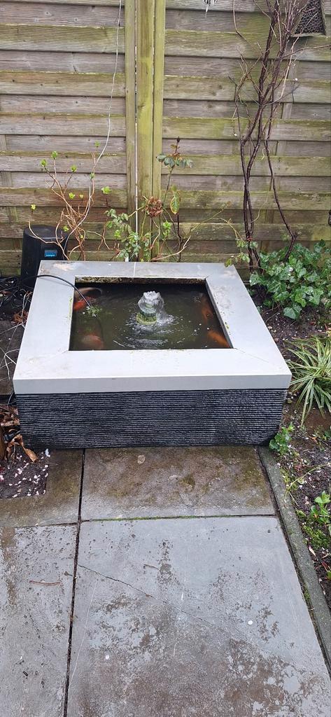 Gratis een terrasvijver 1x1x 30 cm, Tuin en Terras, Vijvers, Gebruikt, Ophalen