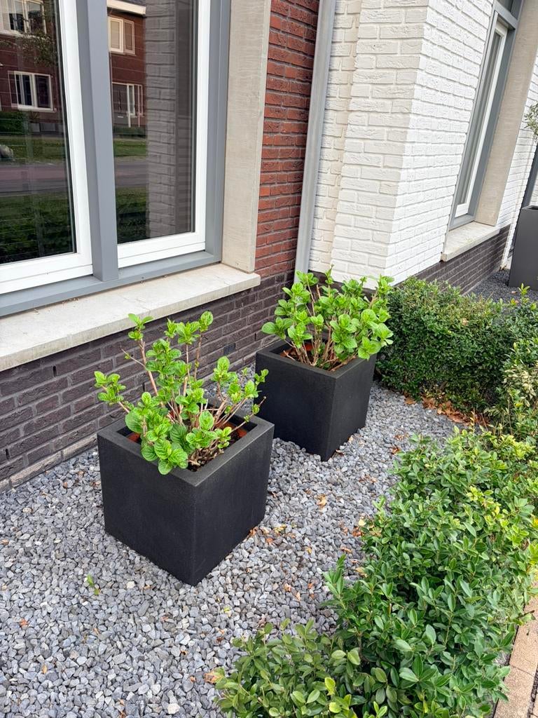 3 CAPI bloempotten (evt inclusief hortensia’s), Tuin en Terras, Bloempotten, Ophalen, Kunststof, 40 cm of meer, Rond