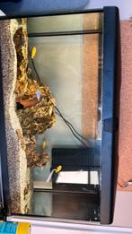 Aquarium gezocht!!!!, Dieren en Toebehoren, Ophalen of Verzenden, Nieuw
