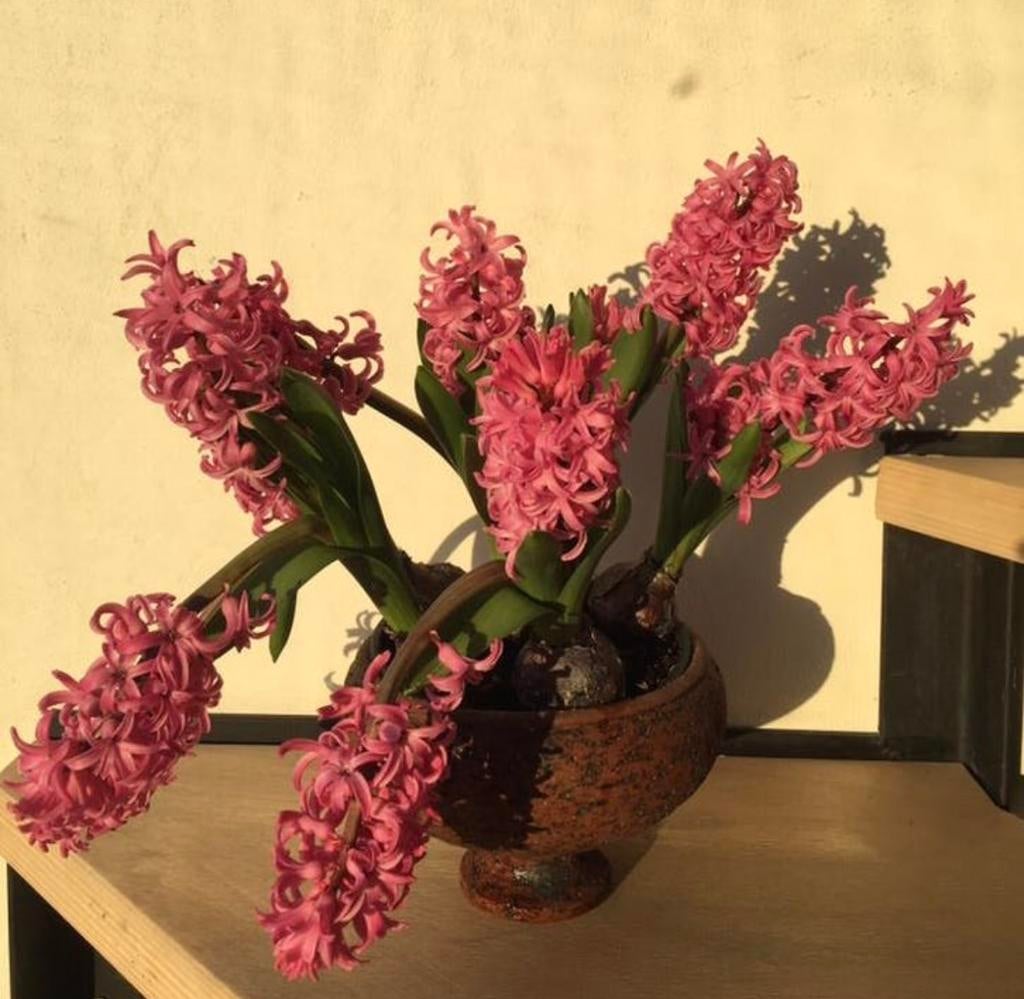 Oranje groen geglazuurde bloempot vintage jaren '50, Gebruikt, Rond, Binnen, Ophalen of Verzenden