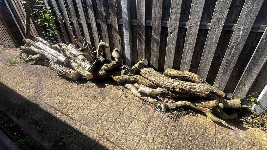 Partij wilgenhout (ca. 2 kuub) – snel weg!, Tuin en Terras, Haardhout, Minder dan 3 m³, Ophalen, Overige houtsoorten, Blokken