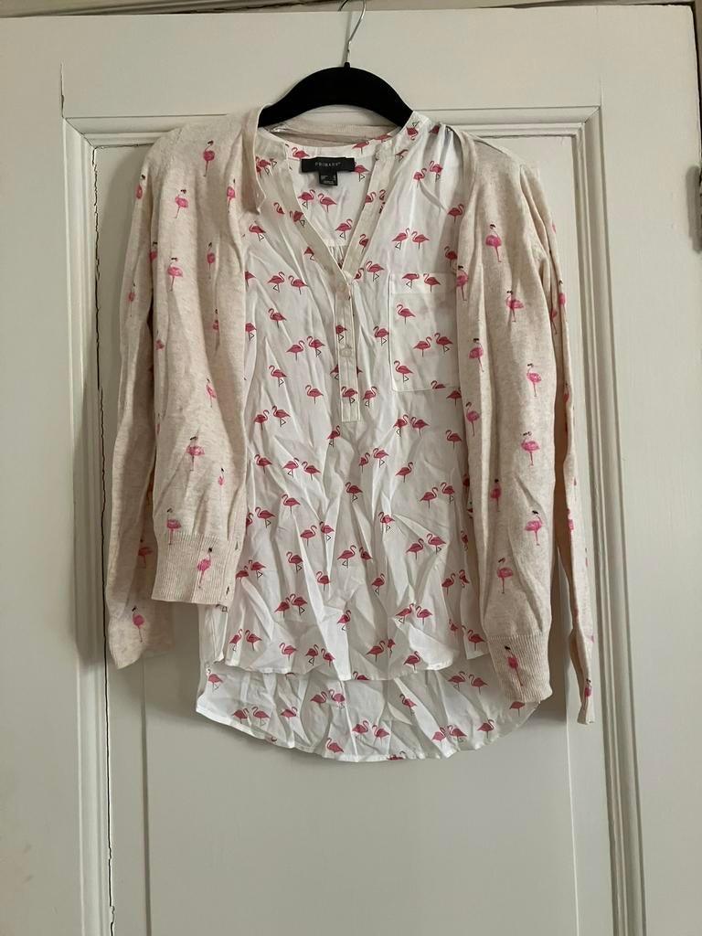 Flamingo blouse en vestje mt 38, Ophalen of Verzenden, Zo goed als nieuw, Maat 38/40 (M), Roze