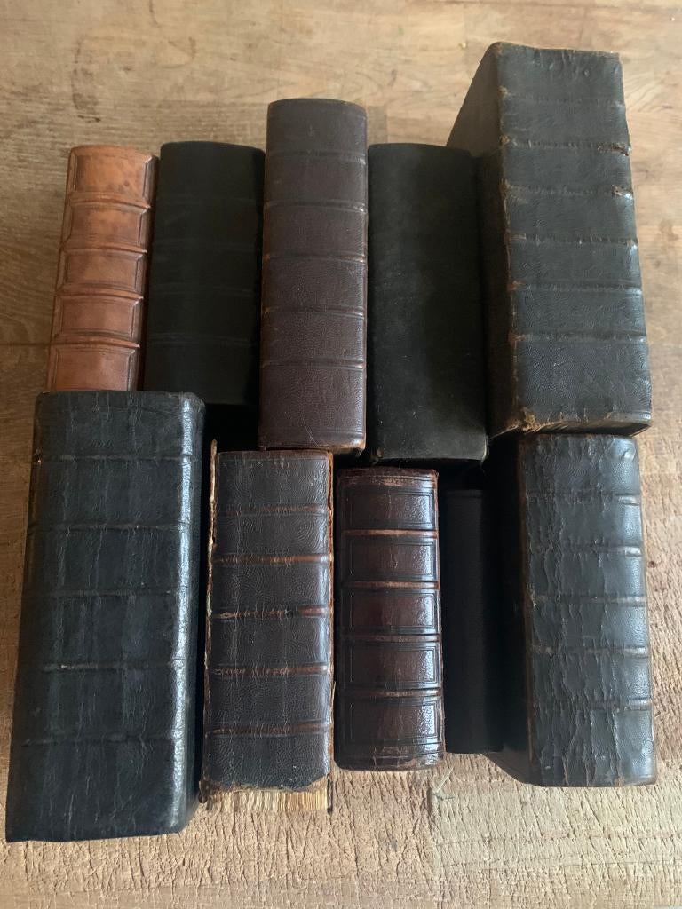 8 19e eeuwse bijbels voor 35 euro samen, Ophalen of Verzenden