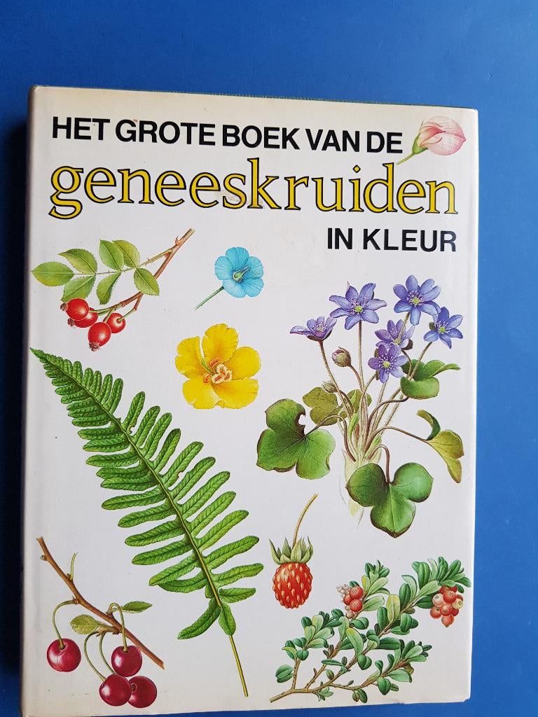 HET GROTE BOEK VAN GENEESKRUIDEN IN KLEUR, Boeken, Verzenden, Zo goed als nieuw, Kruiden en Alternatief
