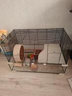 Hamsterhok met toebehoren, Dieren en Toebehoren, Knaagdieren en Konijnen | Hokken en Kooien, Minder dan 75 cm, Zo goed als nieuw