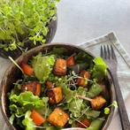 Coconut Grow Kit - Bowl, Soil & Surprise Seed, Ophalen of Verzenden