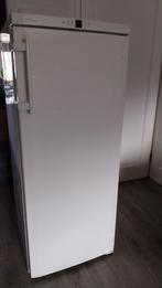 Diepvrieskast liebherr, gebruikt maar in goede staat, Witgoed en Apparatuur, Vriezers en Diepvrieskisten, Gebruikt, Minder dan 60 cm