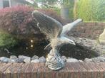 Adelaar 60x60cm, Ophalen, Nieuw, Beton, Dierenbeeld