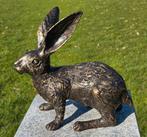 HAAS / bronzen tuinbeeld / brons, Dierenbeeld, Nieuw, Info@huisentuindecoratiemarie.nl, Huis en tuin decoratie marie