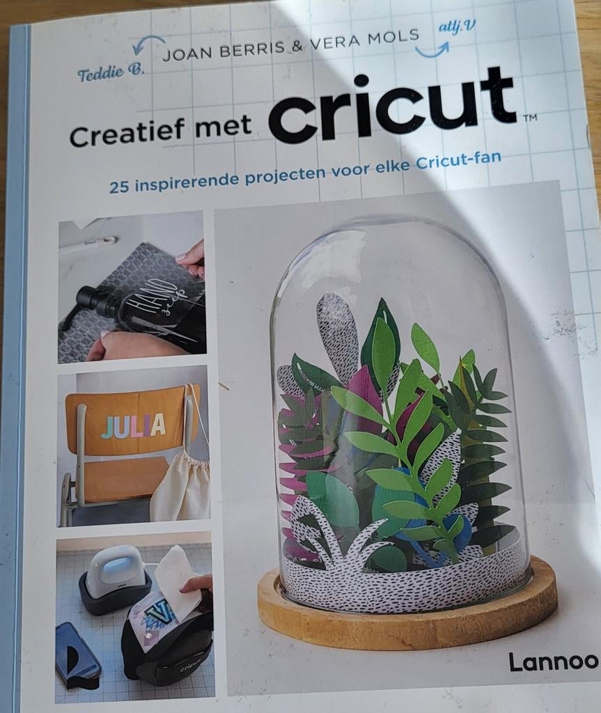 Creatief met cricut, Ophalen of Verzenden, Zo goed als nieuw