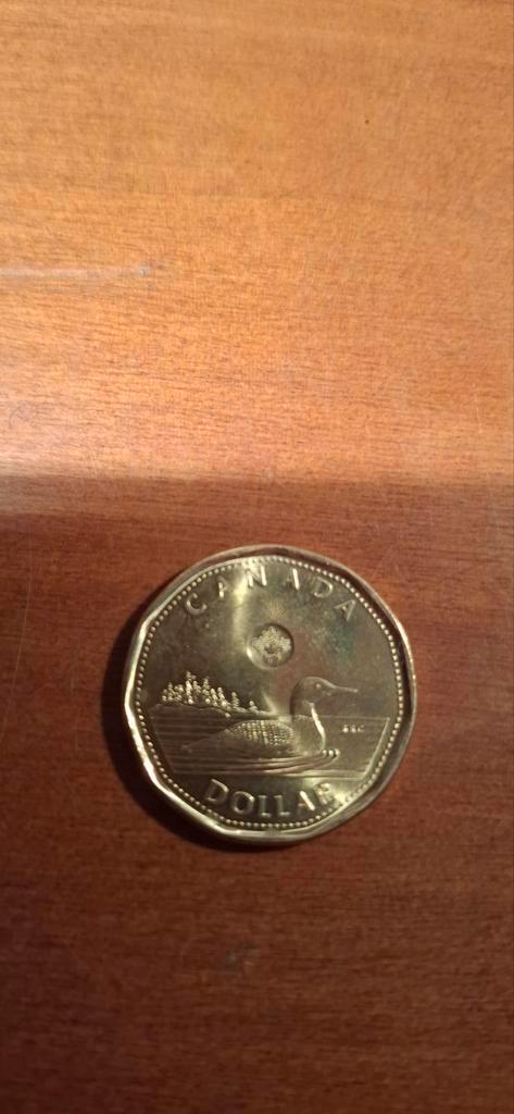 Canadese 1 Dollar Munt 2023 - Koning Charles III, Postzegels en Munten, Munten | Amerika, Losse munt, Noord-Amerika, Ophalen of Verzenden