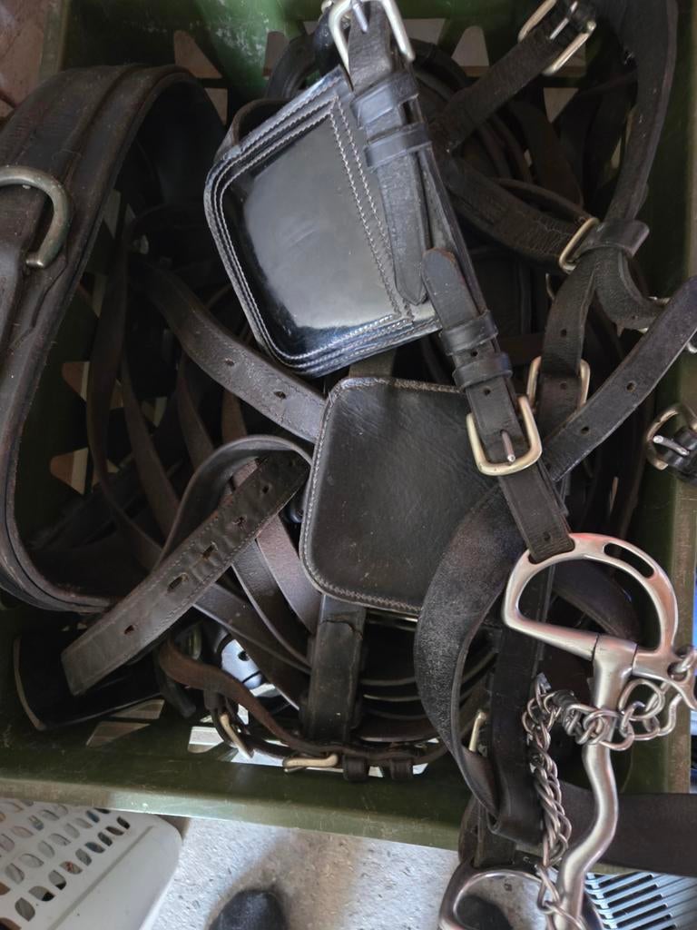 Fries mentuig IDEAL full, Dieren en Toebehoren, Ophalen, Gebruikt, Overige soorten