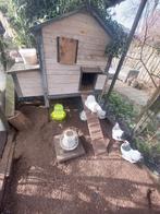 Kippen + hok en toebehoren, Ophalen, Kippenhok of Kippenren