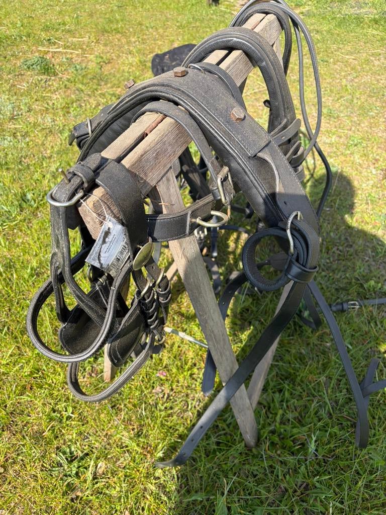 Shetlander men tuig, Dieren en Toebehoren, Paarden en Pony's | Hoofdstellen en Tuigage, Ophalen of Verzenden, Zo goed als nieuw