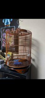Meerdere Indonesië Vogelkooi  nieuw voor Schama lijsters, Dieren en Toebehoren, Ophalen of Verzenden, Nieuw, Metaal, Vogelkooi