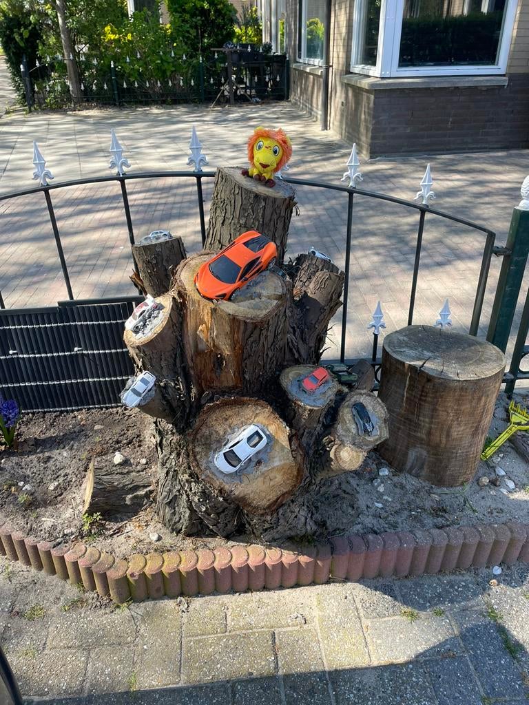 boom stam verwijderen, Ophalen of Verzenden, Zo goed als nieuw