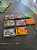 Deka Artis stickers, Dekamarkt, Ophalen of Verzenden