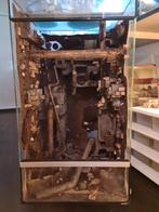 Jungle/industrieel terrarium, Ophalen, Zo goed als nieuw, Terrarium of Paludarium