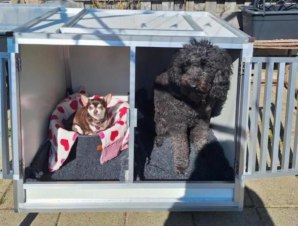 Zo goed als nieuwe transport bench, Dieren en Toebehoren, Ophalen, Zo goed als nieuw, Minder dan 65 cm