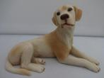 Porseleinen liggende Labrador van Castagna, Verzamelen, Beelden en Beeldjes, Ophalen of Verzenden, Zo goed als nieuw, Dier