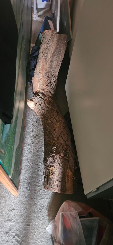 Grote boomstam voor evt terrarium, Minder dan 3 m³, Ophalen of Verzenden