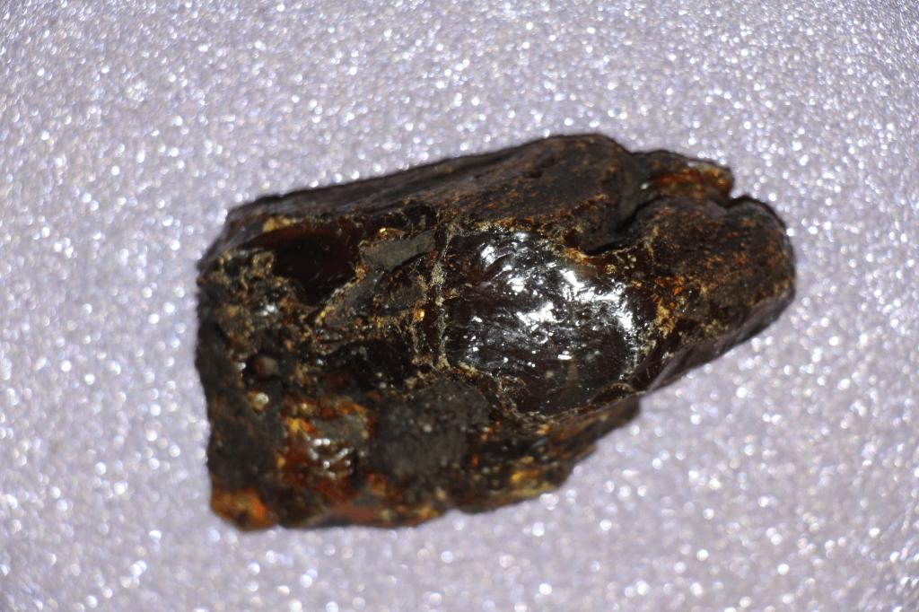 Amber  (4 pcs), Ophalen of Verzenden, Fossiel