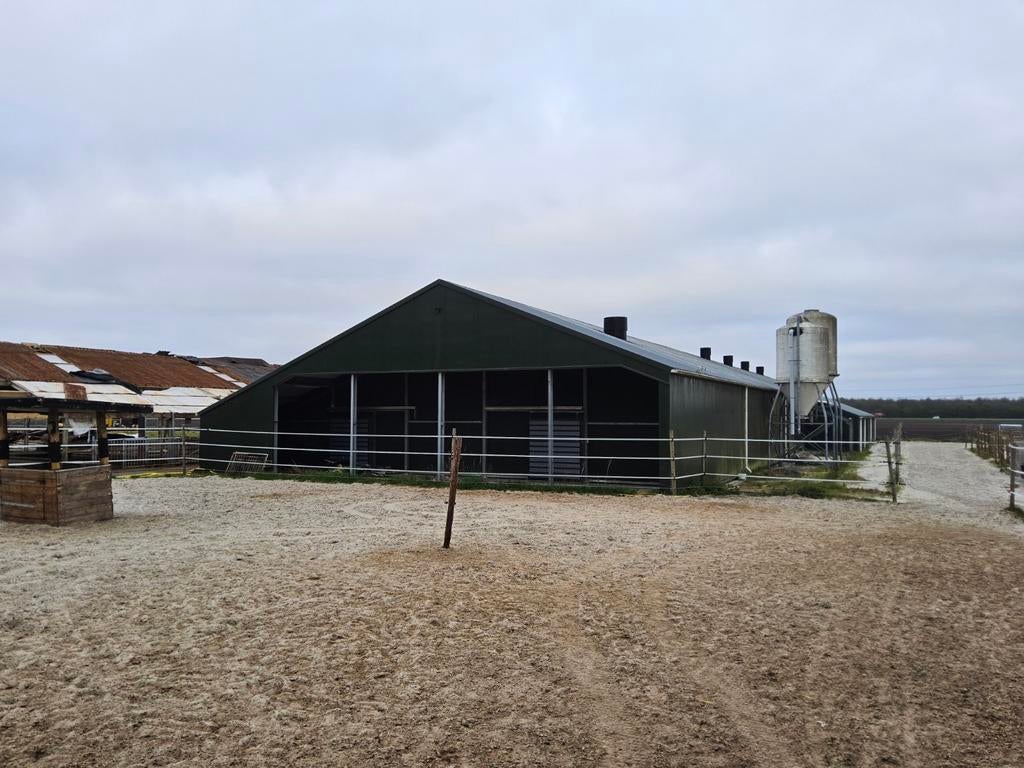 Grote, nette loods stal staalconstructie, Dieren en Toebehoren, Stalling en Weidegang