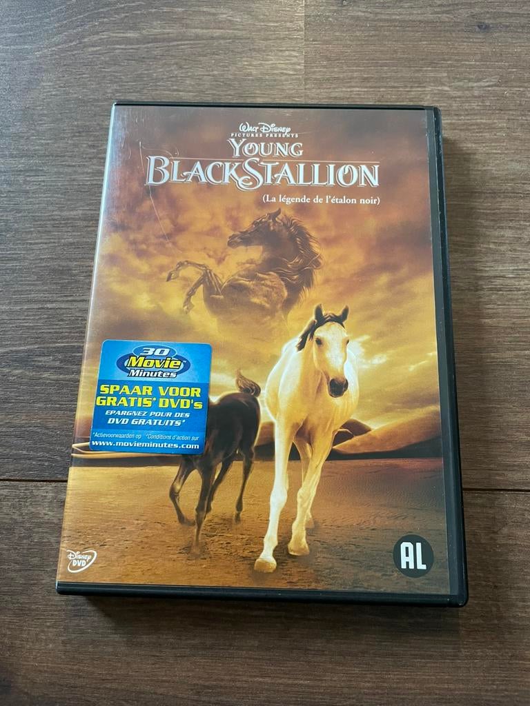 Young Blackstallion DVD, Alle leeftijden, Ophalen of Verzenden, Zo goed als nieuw