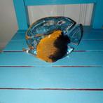 Glazen visje in leuke kleurtjes, Ophalen, Zo goed als nieuw, Dier