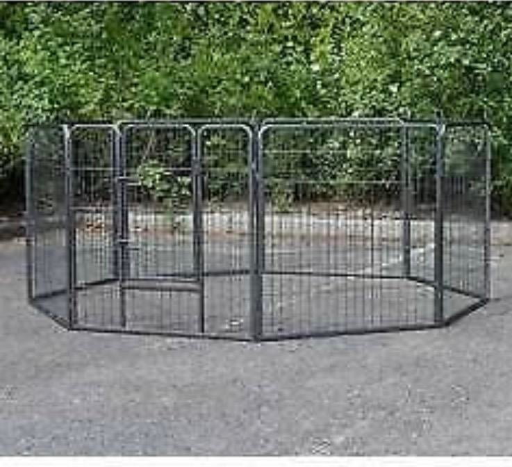 Verschillende honden/konijnen ren te koop, Dieren en Toebehoren, Ophalen of Verzenden