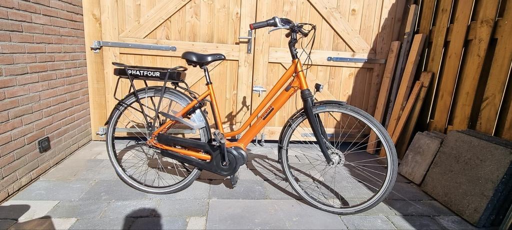 Pointer, 50 tot 53 cm, Ophalen of Verzenden, Zo goed als nieuw