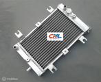 Radiateur Bombardier Can-Am CAN AM DS250 DS 250 2006-2012 07, Nieuw, Ophalen of Verzenden