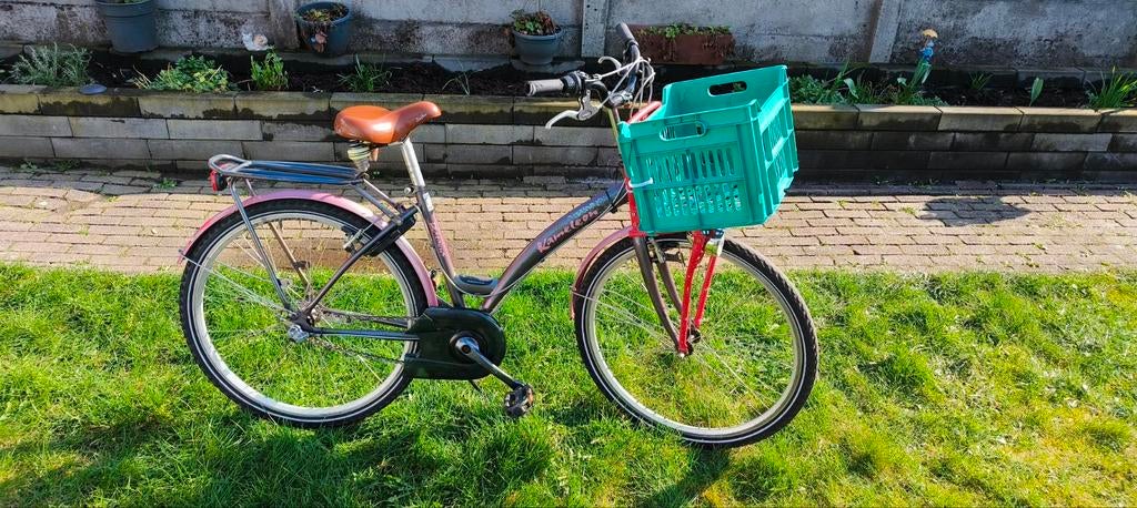 Gebruikte fiets met mandje en bagagedrager, Fietsen en Brommers, Fietsen | Dames | Damesfietsen, Overige merken, Gebruikt, Velgrem