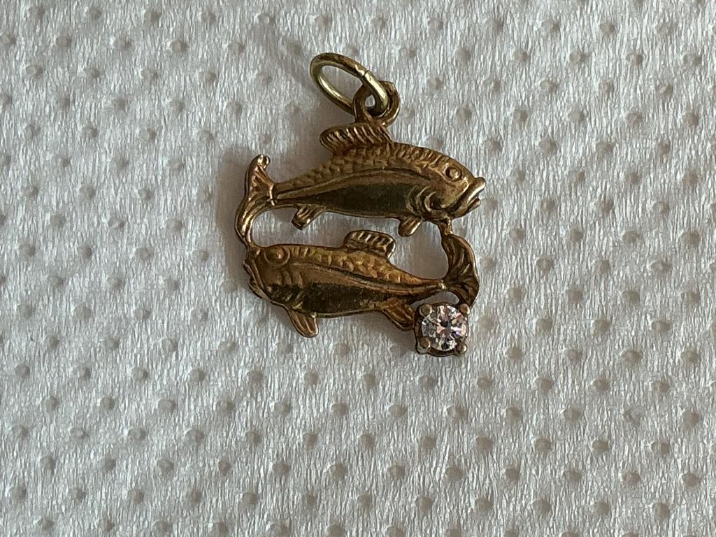 Vissen Hanger met Kristal, Ophalen of Verzenden, Gebruikt, Goud, Met edelsteen