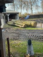 Grote lindehouten boomstammen voor diverse projecten, Ophalen, Gebruikt, Overige typen, Overige houtsoorten