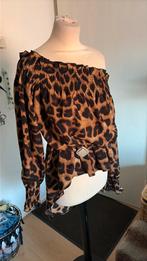 Leuk off shoulder  top mt m, Maat 38/40 (M), Bruin, Ophalen of Verzenden, Zo goed als nieuw