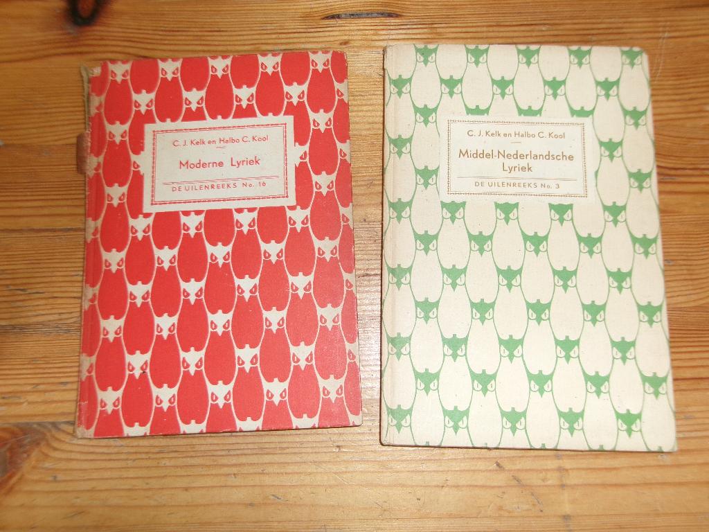 C. J. Kelk en Halbo C. Kool, Boeken, Ophalen of Verzenden, Gelezen