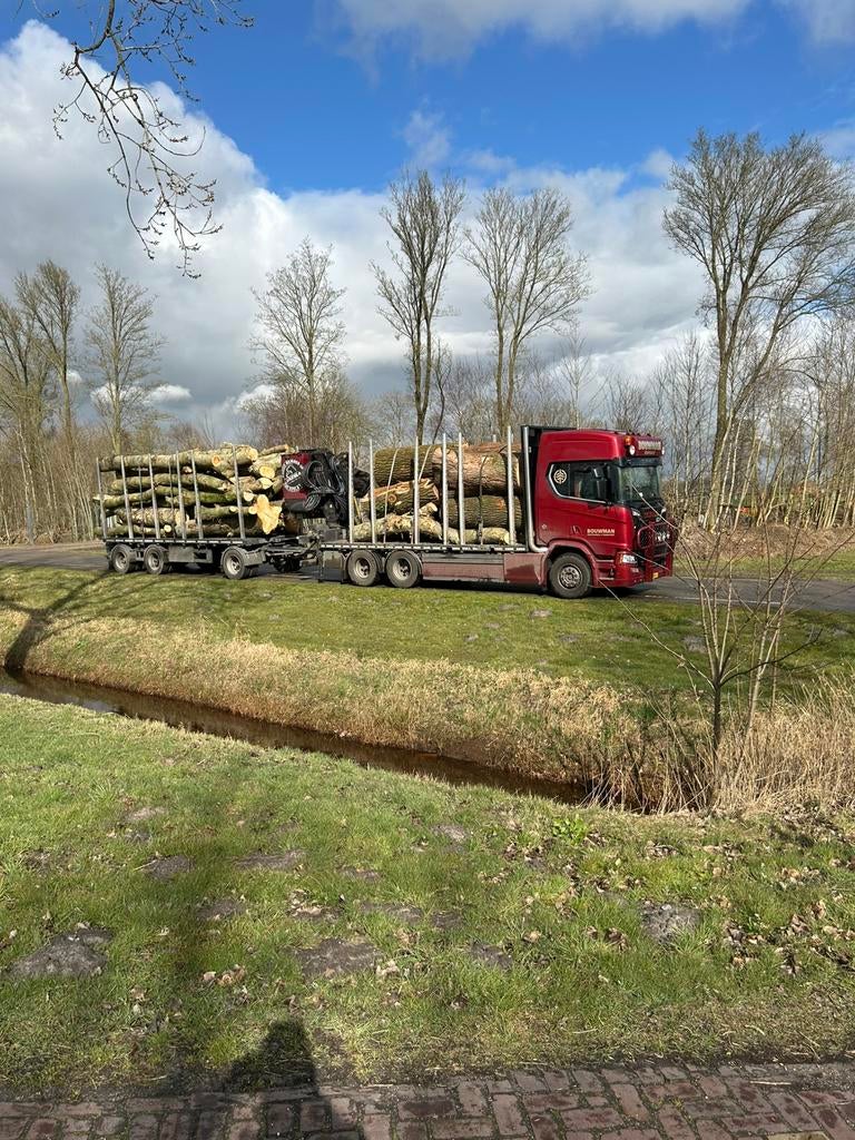 Inkoop (grote) partijen stamhout / boomstammen, Tuin en Terras, Haardhout, Ophalen